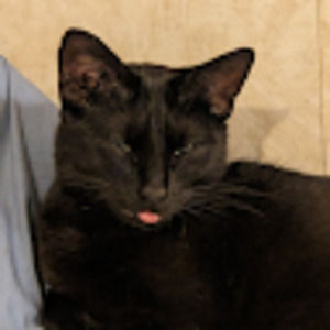 Meet your Posher, Christa